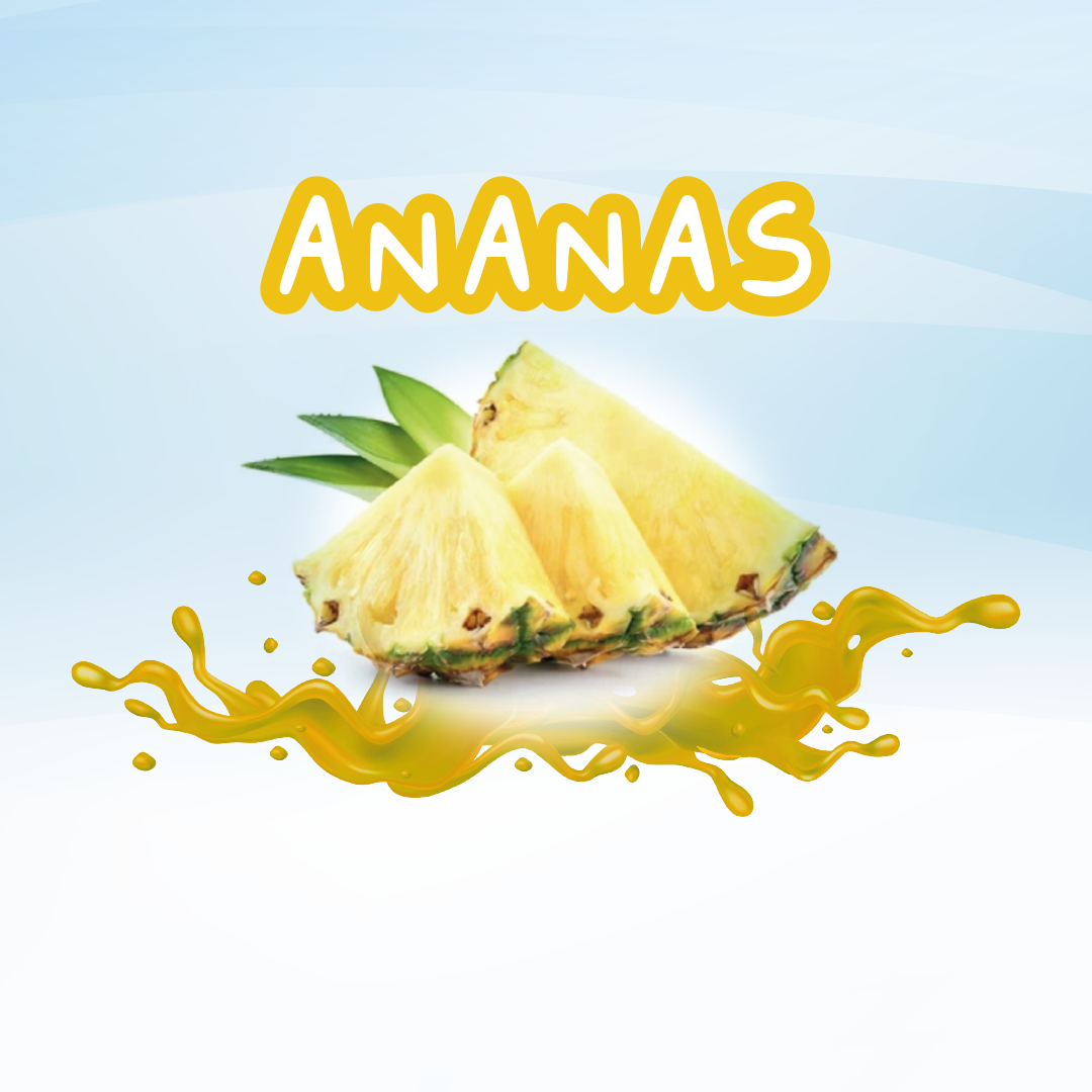 Sirops-Sirop Ananas pour Bubble Tea - Planet Glace - fournisseur