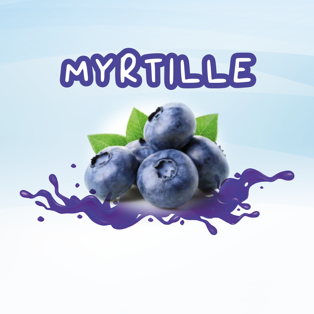 Sirops-Sirop Myrtille pour Bubble Tea - Planet Glace - fournisseur